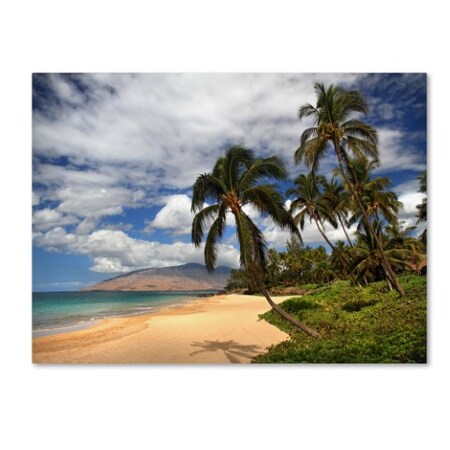 Trademark Fine Art Pierre Leclerc 'Kamaole Tropical' Canvas Art, 14x19 PL0043-C1419GG